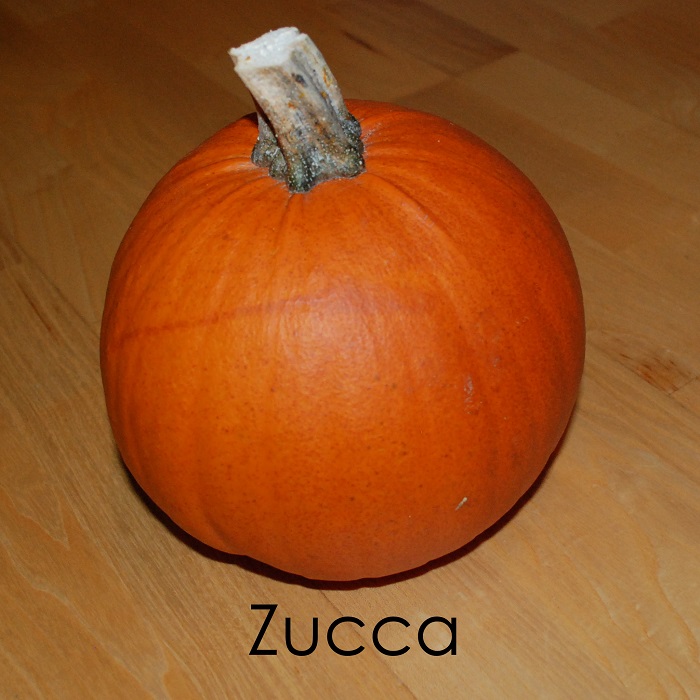 Zucca