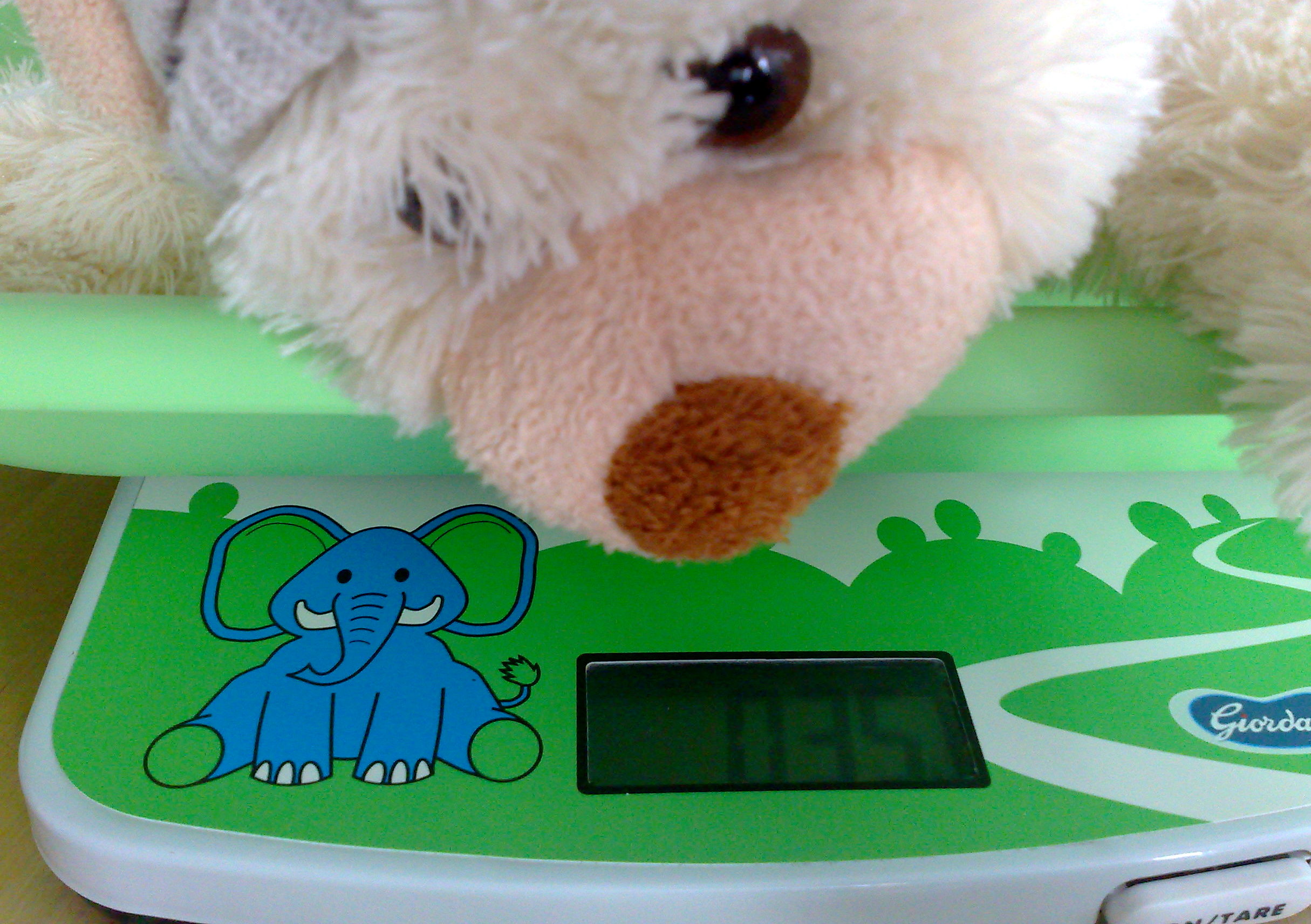 How much should a newborn grow?